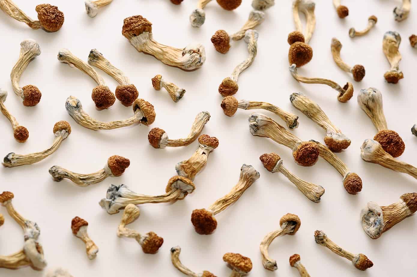 How To Sober Up From Shrooms?
