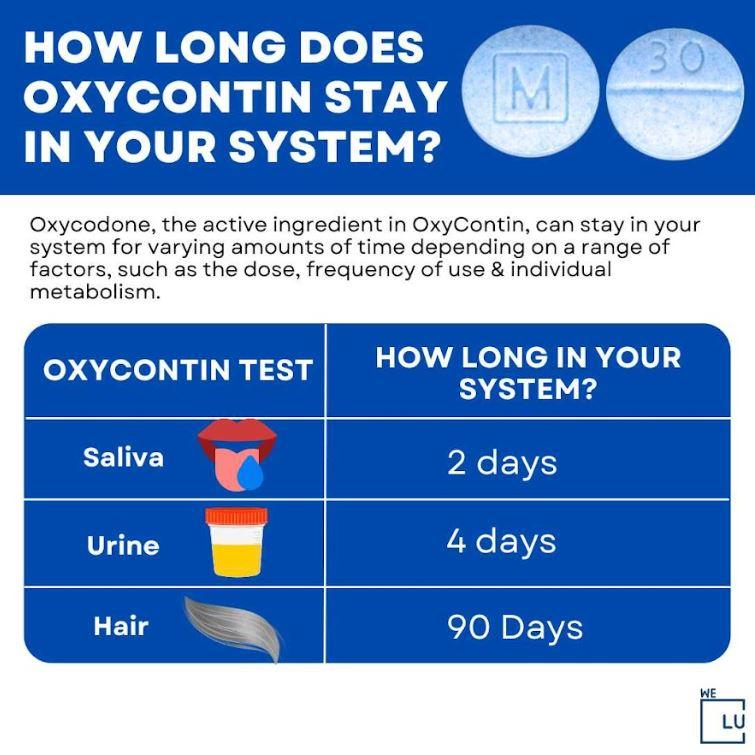 Snorting oxycodone rapidly increases its effects due to the drug's quick absorption through the nasal tissues, resulting in a faster onset of pain relief and a heightened risk of adverse reactions. It affects how long OxyContin stays in your system.