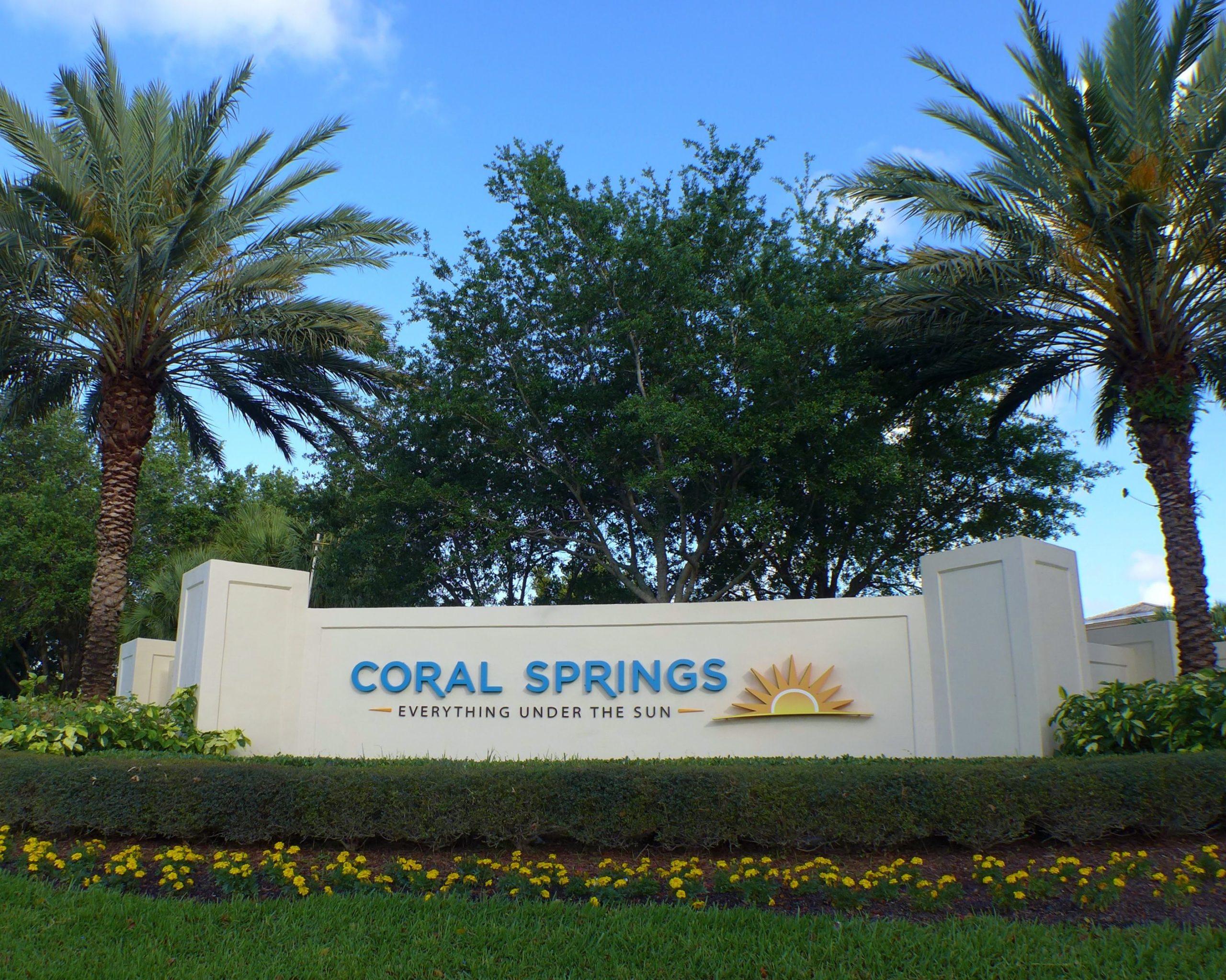 aa coral springs
