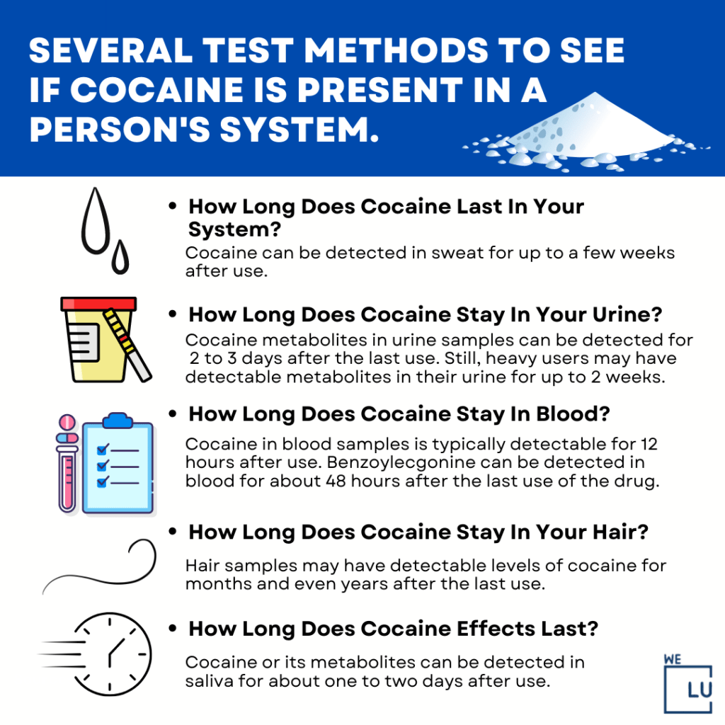 How Long Does Cocaine Stay in Your System? How long does crack cocaine stay in your system? Both cocaine and crack cocaine are frequently abused substances that might be found in a drug test. See the above infographic for drug test times and other considerations.