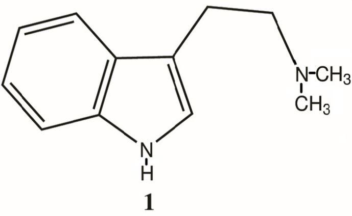 DMT molecule structure. In the history of DMT drug-containing “remedies,” ayahuasca has perhaps the longest record. [1]