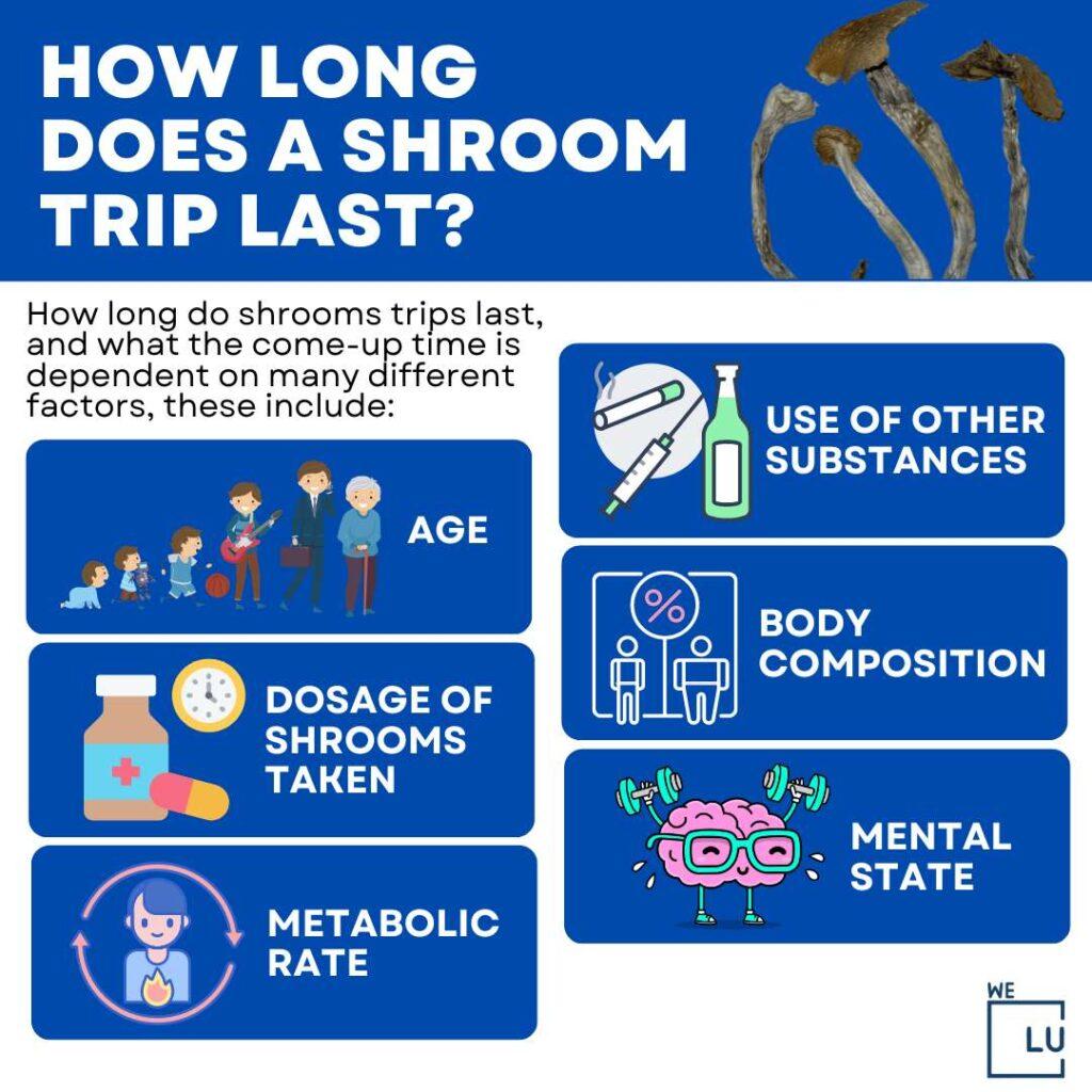 Some mushrooms drug users may report residual effects, such as lingering changes in perception or mood, for several hours after the trip has ended.