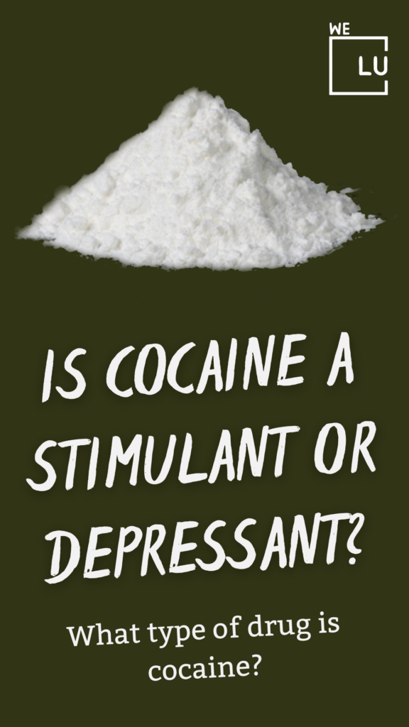 What is cocaine? Cocaine is a CNS (central nervous system) stimulant. It is mainly used recreationally and often illegally as an extract for its euphoric effects.