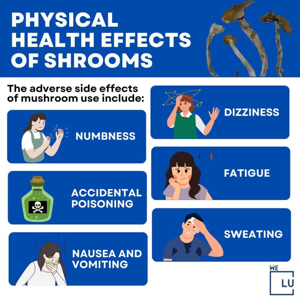 Mushrooms can have adverse effects on the body as well as the mind. So, how long do shrooms last? Contiue reading for more.