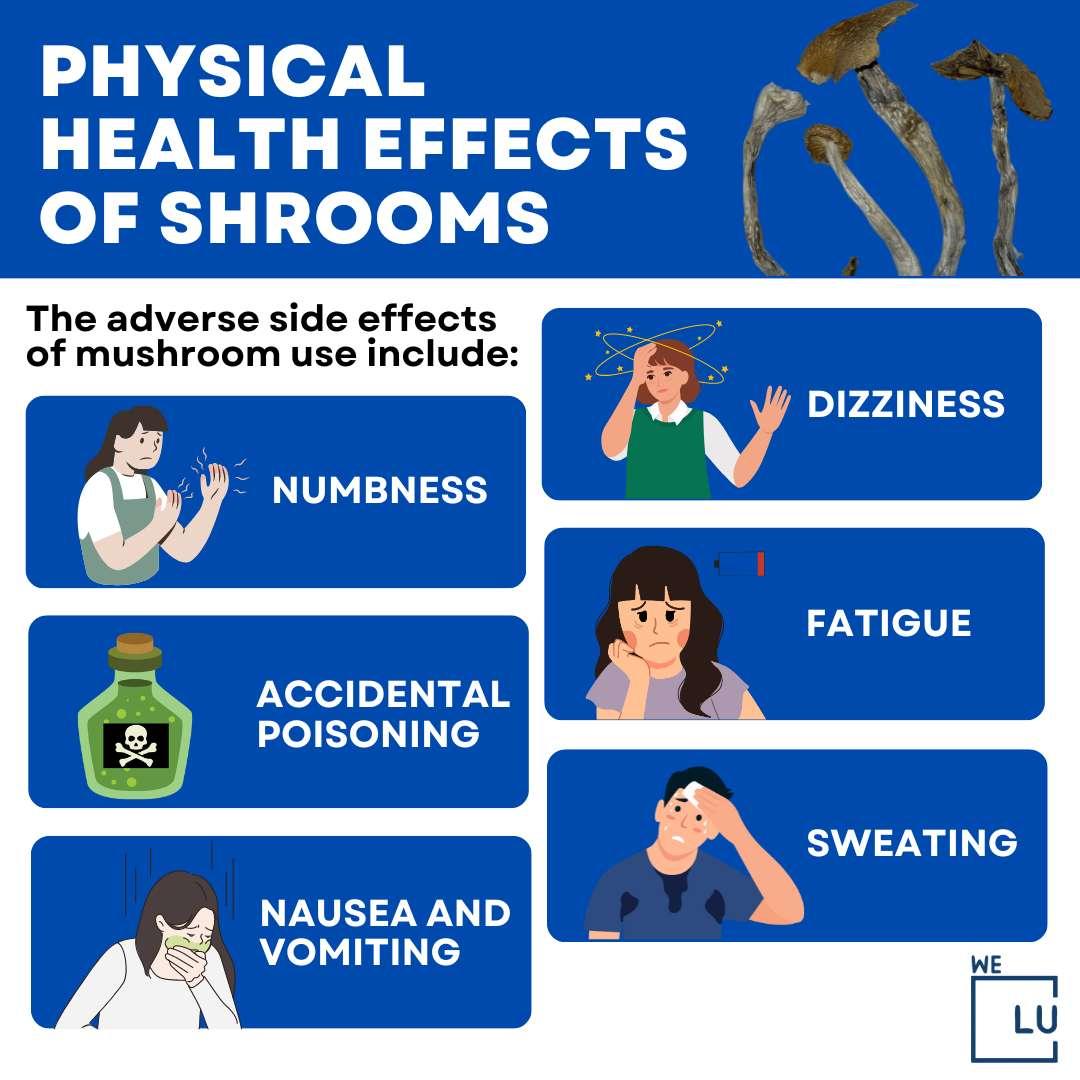 Psilocybin Mushrooms Drug. Magic Mushrooms Effects & Risks.