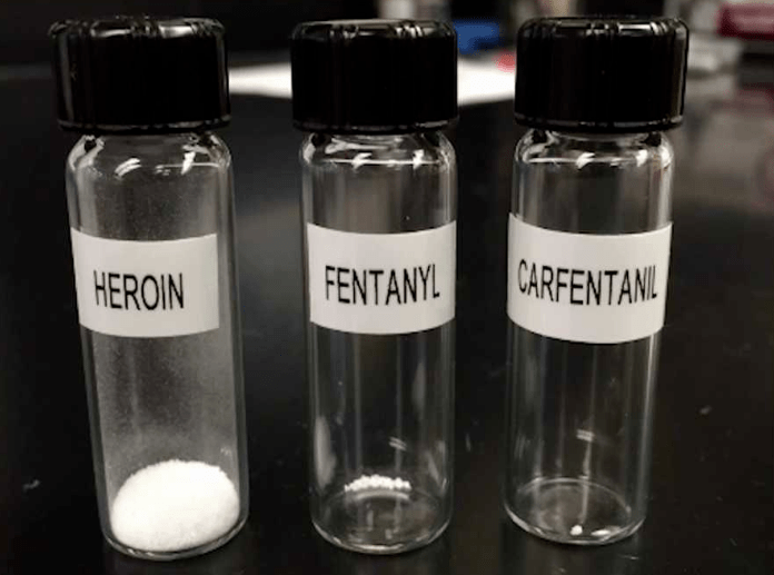 What does heroin look like? Synthetic opioids, including those referred to as synthetic heroin, are illegal and highly dangerous. They carry a high risk of addiction, overdose, and other severe health consequences. The image above of heroin, fentanyl, and carfentanil shows the fatal amount of each drug.