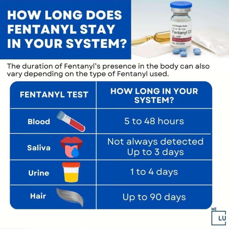 How long does Fentanyl stay in Urine? Fentanyl is typically detectable in urine for approximately 1 to 3 days after the last use.