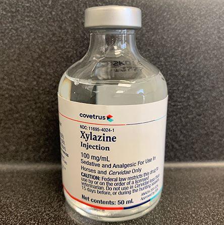 What does Xylazine look like? You may have heard of a new deadly substance that has appeared in the illicit drug market as America’s opioid crisis persists. The non-opioid sedative is the analgesic drug Xylazine. Xylazine drugs, referred to as “tranqs,” are frequently combined with adulterated addictive opioid drugs like heroin, fentanyl, and cocaine.