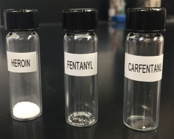 Fentanyl vs carfentanyl? Carfentanil is significantly more potent than heroin and fentanyl, posing an extreme risk of overdose even in minuscule amounts.