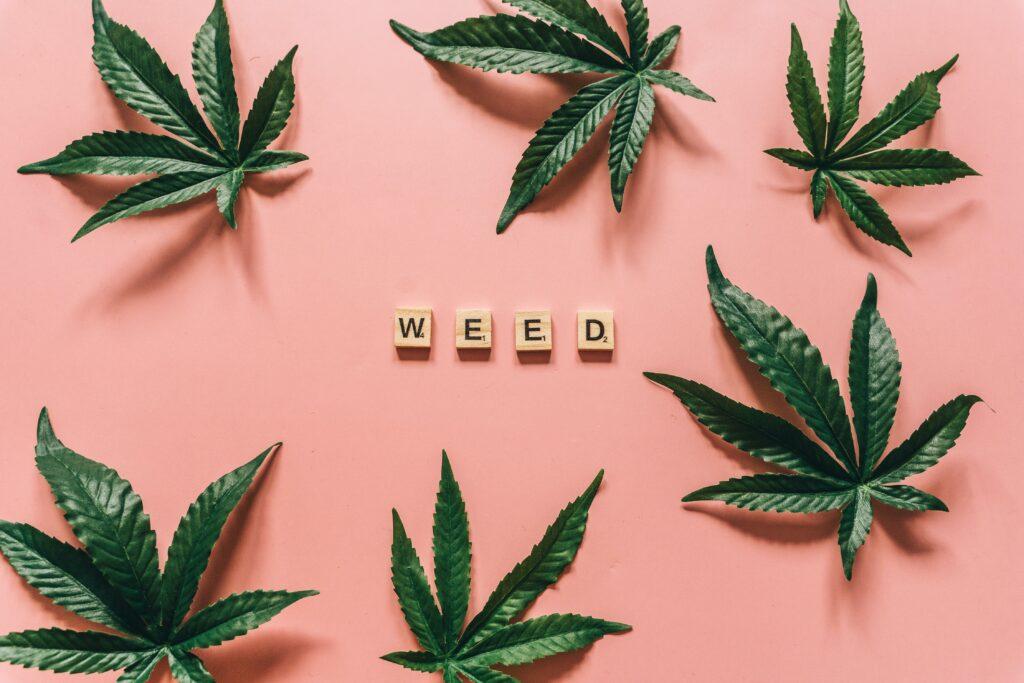 How to get weed out of your system? A rehab center's detox treatment is the best option when seeking a reliable and effective way to clear weed from your system.