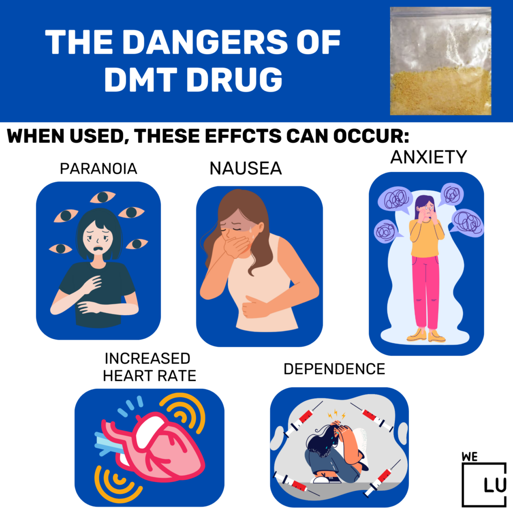 Dangers of DMT Drug infographic