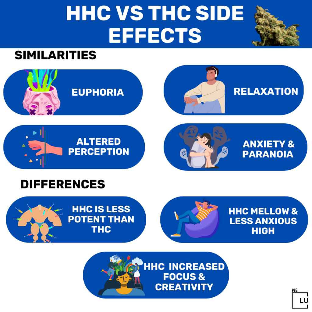 HHC may bring on symptoms like nausea, fatigue, and hematologic complications. On the other hand, THC, the mind-altering component in cannabis, can induce euphoria, altered perception, and a faster heartbeat. Dive deeper to learn about the long-term effects that THC can have on your respiratory system and potential addiction risks.