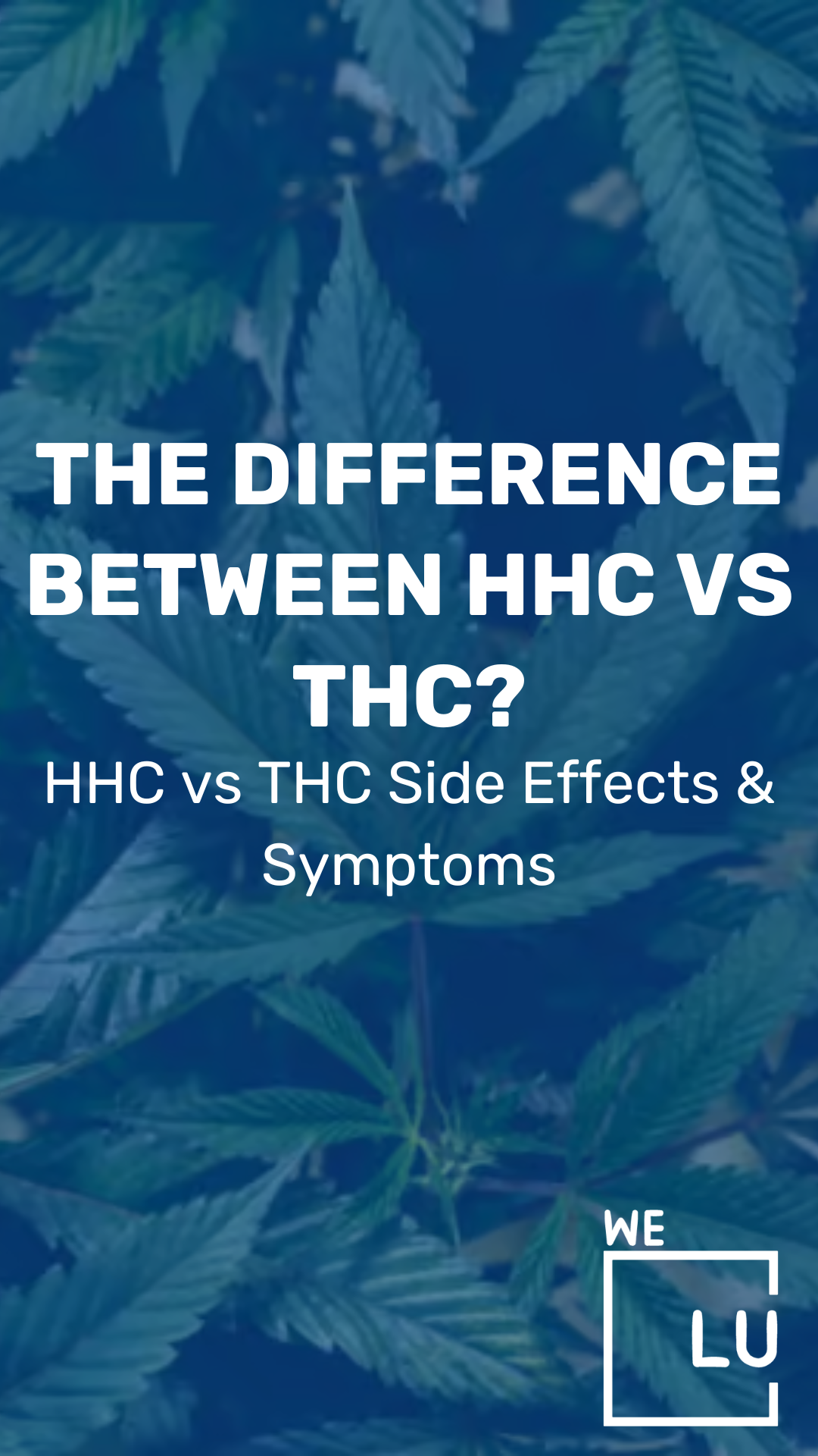 HHC Vs THC are both cannabinoids and chemical compounds in the cannabis plant. They are part of a group of over 100 different cannabinoids identified in cannabis, each with its unique effects and potential benefits.